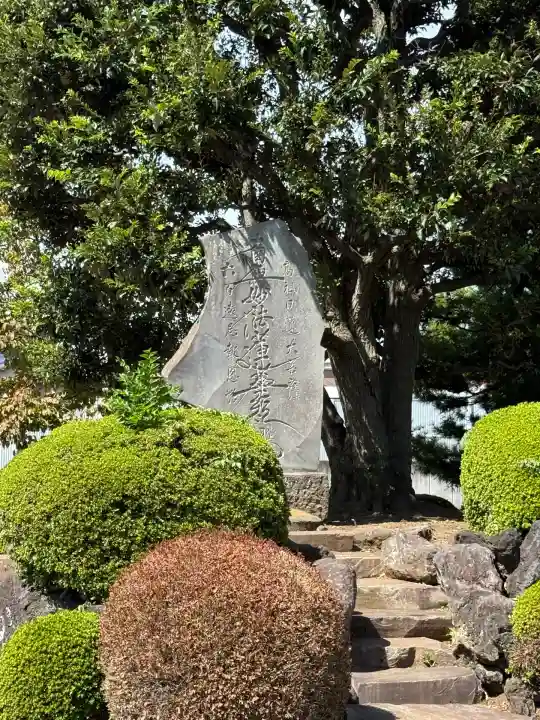 妙延寺(東京都)