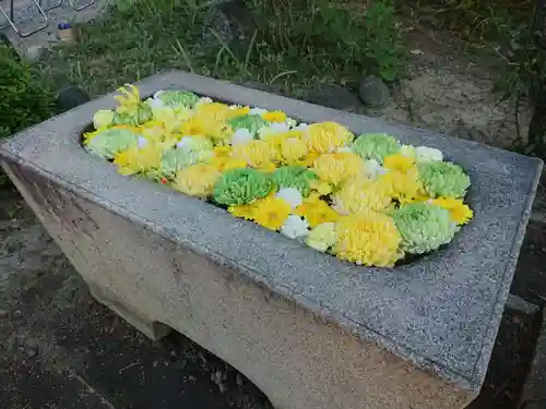 宝珠寺の手水舎