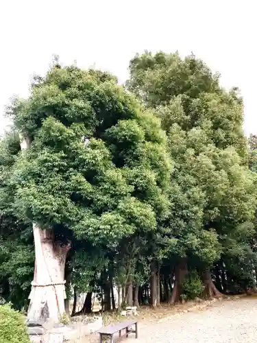 鹿嶋神社(茨城県)
