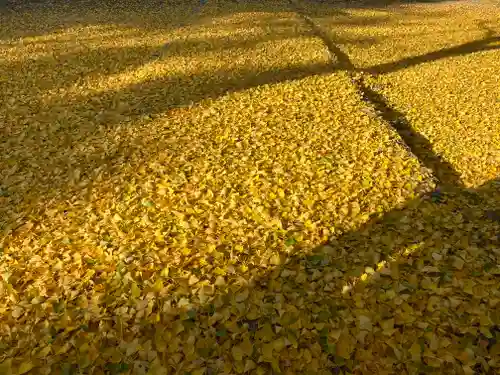 円通寺(広島県)