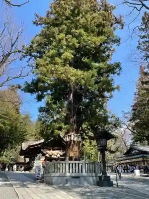 諏訪大社下社秋宮の{uncategorized: "未分類", other: "その他", undefined: "問題あり", building: "その他建物", grave: "お墓", sacred_gate: "鳥居", guardian: "狛犬", statue: "像", buddha: "仏像", history: "歴史", nature: "自然", garden: "庭園", animal: "動物", pagoda: "塔", temizu: "手水舎", mountain_gate: "山門・神門", sanctuary: "本殿・本堂", subordinate: "末社・摂社", art: "芸術", scenery: "景色", jizo: "地蔵", ema: "絵馬", goshuin: "御朱印", omikuji: "おみくじ", items: "授与品その他", amulet: "お守り", goshuincho: "御朱印帳", eats: "食事", festival: "お祭り", votive_dance: "神楽", shichigosan: "七五三参", wedding: "結婚式", experience: "体験その他", initially: "初詣", around: "周辺", anti_infection: "感染症対策"}