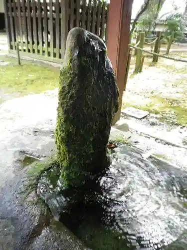 稲田禅房西念寺（稲田御坊）の手水舎