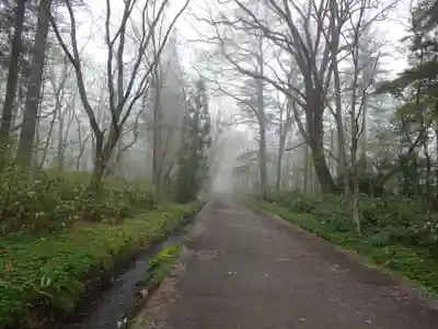 戸隠神社奥社(長野県)