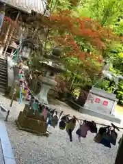 柴神社(福井県)