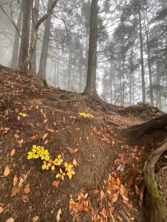 武蔵御嶽神社奥の院(東京都)