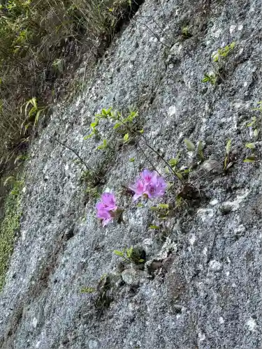 小笠神社の自然