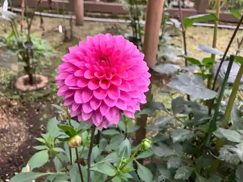 上野東照宮(東京都)