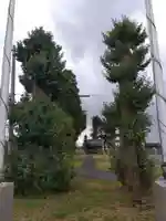 白山神社(山王神社)(福井県)