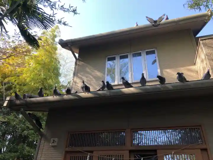沖野八幡神社の{uncategorized: "未分類", other: "その他", undefined: "問題あり", building: "その他建物", grave: "お墓", sacred_gate: "鳥居", guardian: "狛犬", statue: "像", buddha: "仏像", history: "歴史", nature: "自然", garden: "庭園", animal: "動物", pagoda: "塔", temizu: "手水舎", mountain_gate: "山門・神門", sanctuary: "本殿・本堂", subordinate: "末社・摂社", art: "芸術", scenery: "景色", jizo: "地蔵", ema: "絵馬", goshuin: "御朱印", omikuji: "おみくじ", items: "授与品その他", amulet: "お守り", goshuincho: "御朱印帳", eats: "食事", festival: "お祭り", votive_dance: "神楽", shichigosan: "七五三参", wedding: "結婚式", experience: "体験その他", initially: "初詣", around: "周辺", anti_infection: "感染症対策"}