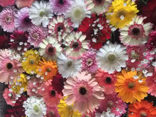 札幌諏訪神社の手水舎