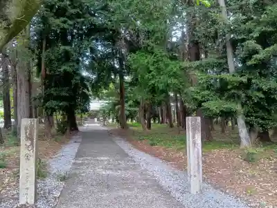深坂神社の{uncategorized: "未分類", other: "その他", undefined: "問題あり", building: "その他建物", grave: "お墓", sacred_gate: "鳥居", guardian: "狛犬", statue: "像", buddha: "仏像", history: "歴史", nature: "自然", garden: "庭園", animal: "動物", pagoda: "塔", temizu: "手水舎", mountain_gate: "山門・神門", sanctuary: "本殿・本堂", subordinate: "末社・摂社", art: "芸術", scenery: "景色", jizo: "地蔵", ema: "絵馬", goshuin: "御朱印", omikuji: "おみくじ", items: "授与品その他", amulet: "お守り", goshuincho: "御朱印帳", eats: "食事", festival: "お祭り", votive_dance: "神楽", shichigosan: "七五三参", wedding: "結婚式", experience: "体験その他", initially: "初詣", around: "周辺", anti_infection: "感染症対策"}