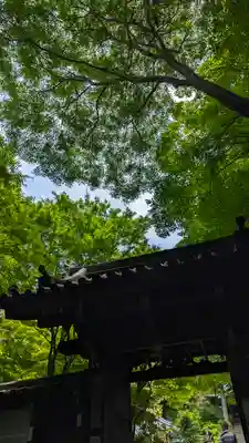 来迎院(京都府)