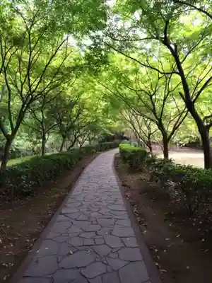 武雄神社(佐賀県)