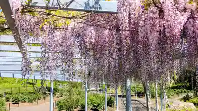 金蛇水神社(宮城県)