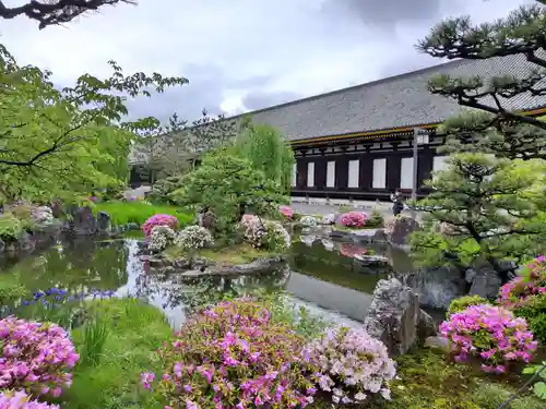 蓮華王院（三十三間堂）の庭園