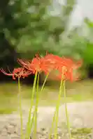 浄土寺(兵庫県)