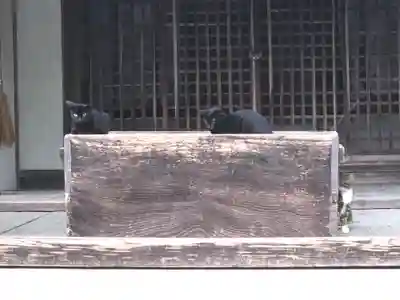 吉香神社(山口県)