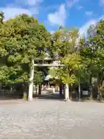 溝旗神社(肇國神社)の鳥居