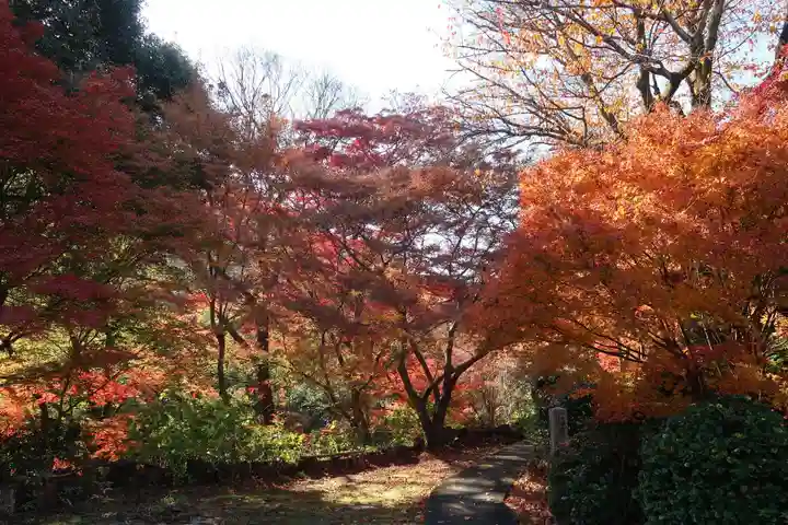 神應寺(京都府)