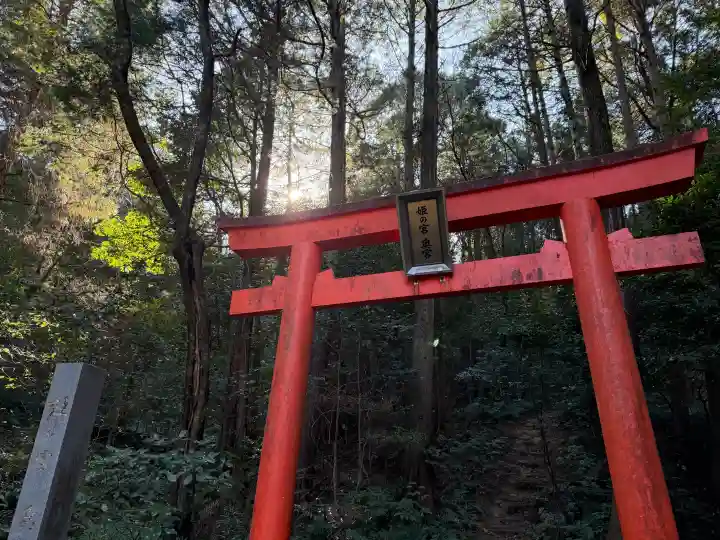 大縣神社の{uncategorized: "未分類", other: "その他", undefined: "問題あり", building: "その他建物", grave: "お墓", sacred_gate: "鳥居", guardian: "狛犬", statue: "像", buddha: "仏像", history: "歴史", nature: "自然", garden: "庭園", animal: "動物", pagoda: "塔", temizu: "手水舎", mountain_gate: "山門・神門", sanctuary: "本殿・本堂", subordinate: "末社・摂社", art: "芸術", scenery: "景色", jizo: "地蔵", ema: "絵馬", goshuin: "御朱印", omikuji: "おみくじ", items: "授与品その他", amulet: "お守り", goshuincho: "御朱印帳", eats: "食事", festival: "お祭り", votive_dance: "神楽", shichigosan: "七五三参", wedding: "結婚式", experience: "体験その他", initially: "初詣", around: "周辺", anti_infection: "感染症対策"}