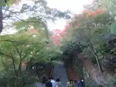 長谷寺の景色