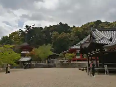 金剛寺のその他建物