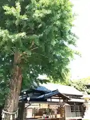 菊田神社の建物その他