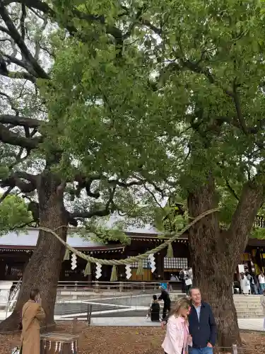 明治神宮の{uncategorized: "未分類", other: "その他", undefined: "問題あり", building: "その他建物", grave: "お墓", sacred_gate: "鳥居", guardian: "狛犬", statue: "像", buddha: "仏像", history: "歴史", nature: "自然", garden: "庭園", animal: "動物", pagoda: "塔", temizu: "手水舎", mountain_gate: "山門・神門", sanctuary: "本殿・本堂", subordinate: "末社・摂社", art: "芸術", scenery: "景色", jizo: "地蔵", ema: "絵馬", goshuin: "御朱印", omikuji: "おみくじ", items: "授与品その他", amulet: "お守り", goshuincho: "御朱印帳", eats: "食事", festival: "お祭り", votive_dance: "神楽", shichigosan: "七五三参", wedding: "結婚式", experience: "体験その他", initially: "初詣", around: "周辺", anti_infection: "感染症対策"}