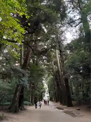 鹿島神宮(茨城県)