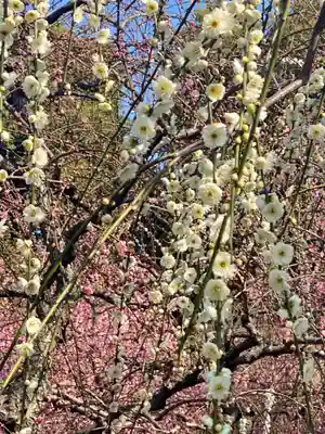 城南宮(京都府)