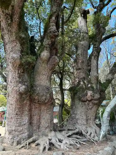 長田神社(兵庫県)