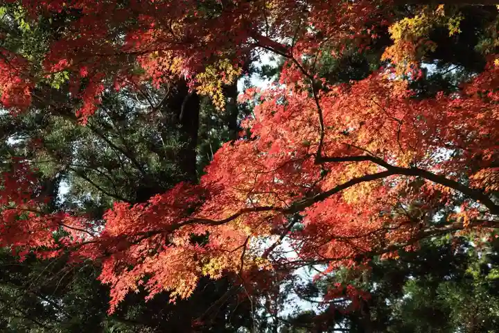 田村神社の景色