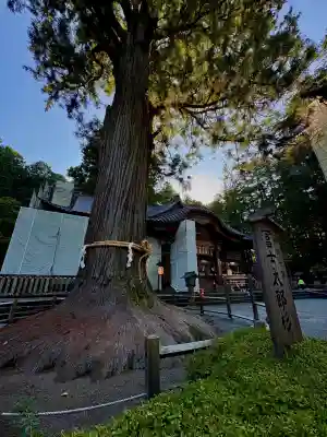 北口本宮冨士浅間神社(山梨県)