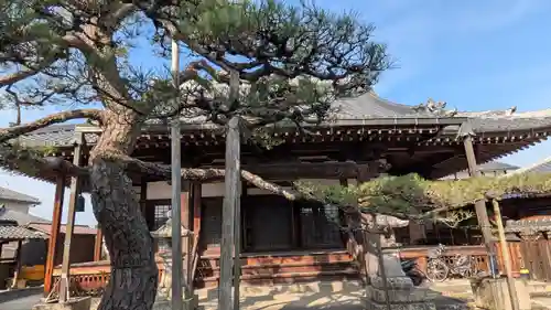 淨顯寺（浄顕寺）(滋賀県)