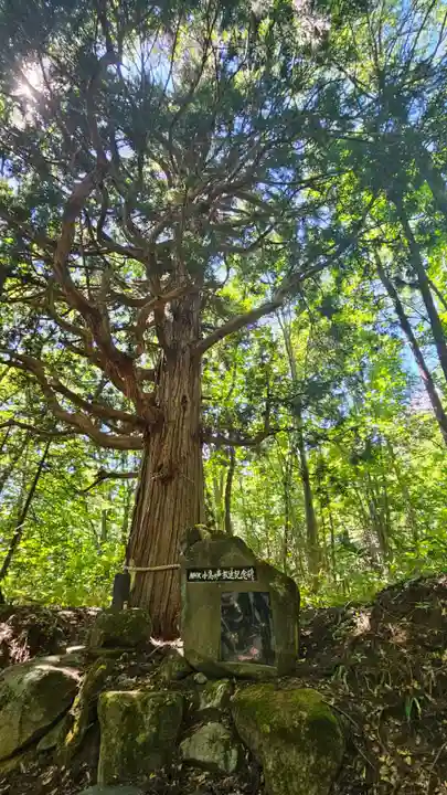 戸隠神社火之御子社(長野県)