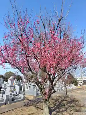 東持寺(茨城県)