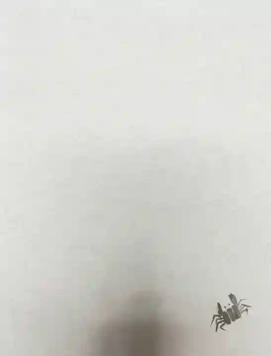 蟹満寺(京都府)