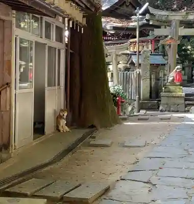 無動寺（延暦寺塔頭）(滋賀県)