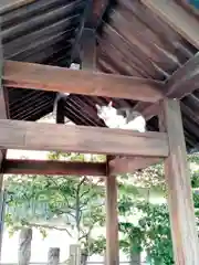 蔵前神社(東京都)