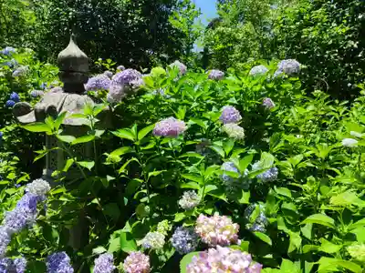 観音寺(京都府)