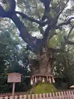 熱田神宮の自然