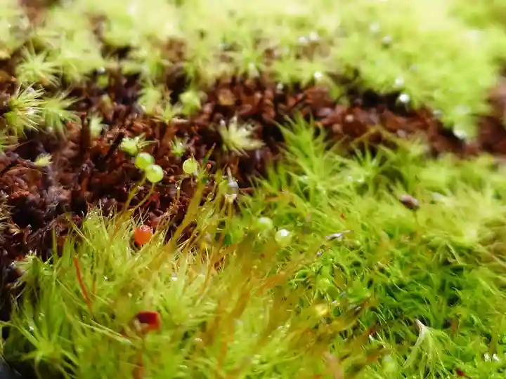 杉本寺(神奈川県)