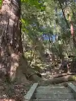 山王神社(茨城県)