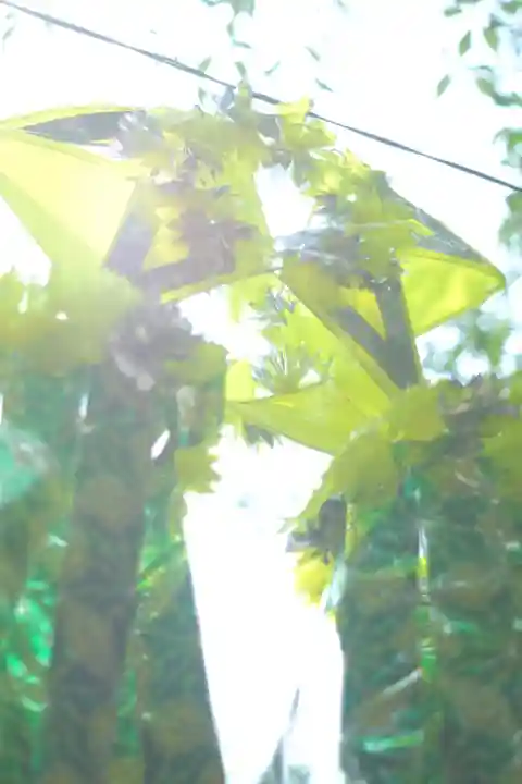 星田妙見宮(大阪府)