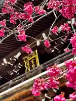 宮地嶽神社(福岡県)