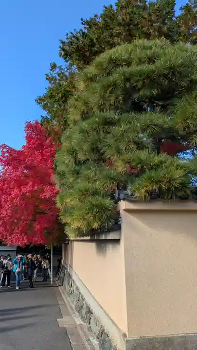 龍眠庵(竜眠庵)(京都府)