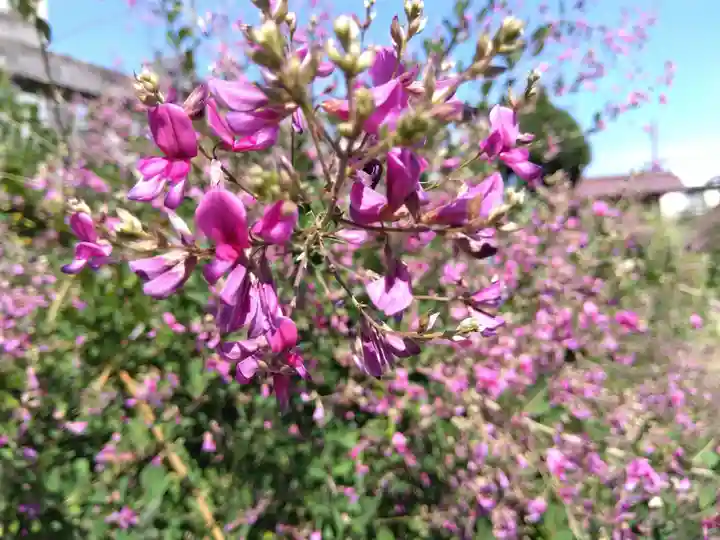 瑞源寺(福井県)