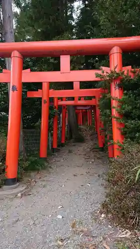 烏子稲荷神社の鳥居