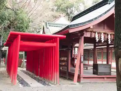 津島神社の鳥居