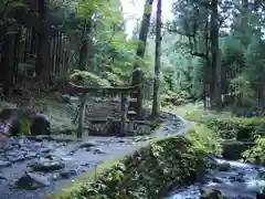 瀧尾神社（日光二荒山神社別宮）の自然